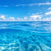 Swimming in Blue Oceans: the pursuit of high differentiation at low cost